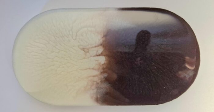 Vide poche - Tendresse Éternelle – Image 3