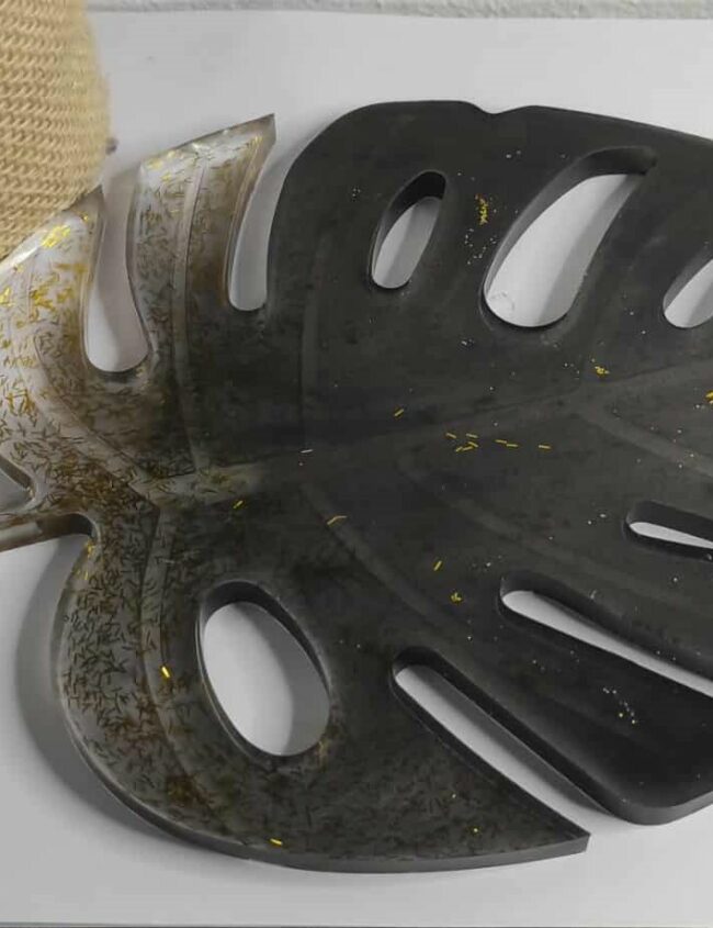 MONSTERA LUX 1 MONSTERA LUX 1