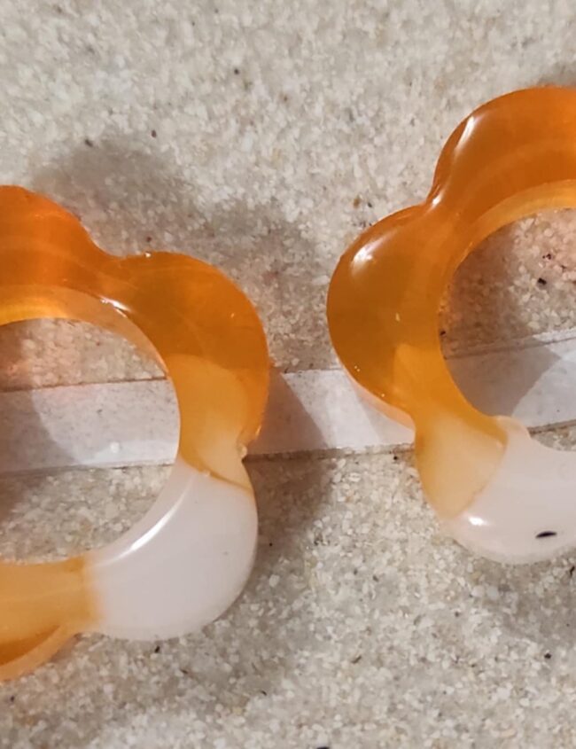 Lueur mandarine grande fleur Lueur mandarine grande fleur