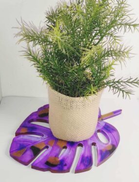 Monstera Mystique - Plateau monstera