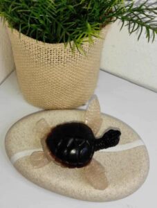 Ocean Spirit – Petite Tortue Marine – Image 5