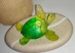 Ocean Spirit – Petite Tortue Marine