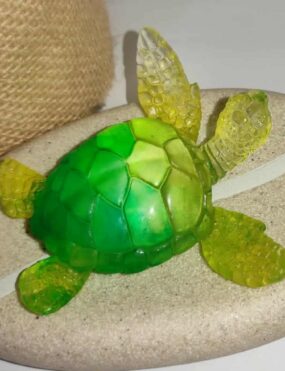 Ocean Spirit – Petite Tortue Marine