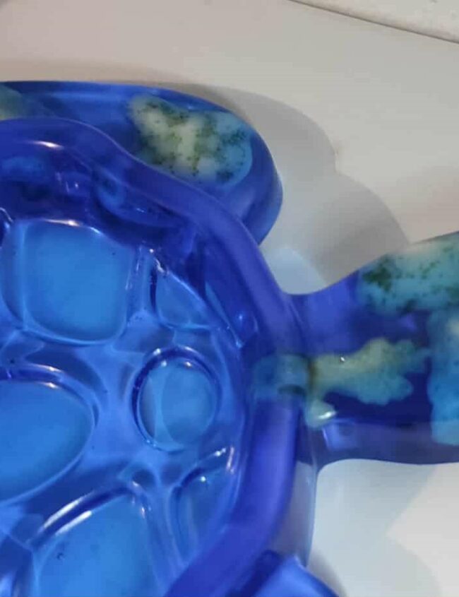 Océan’Shell – Vide-poche Tortue 2