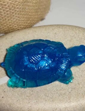 TerraZen – Petite Tortue de Terre