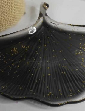 GINKGO GOLD – Vide-Poche Élégance Dorée