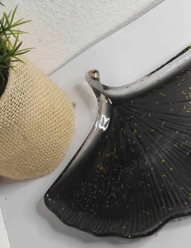 Ginco noir pailette 2 Ginco noir pailette 2