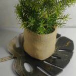 MONSTERA LUX – Plateau Élégance Dorée